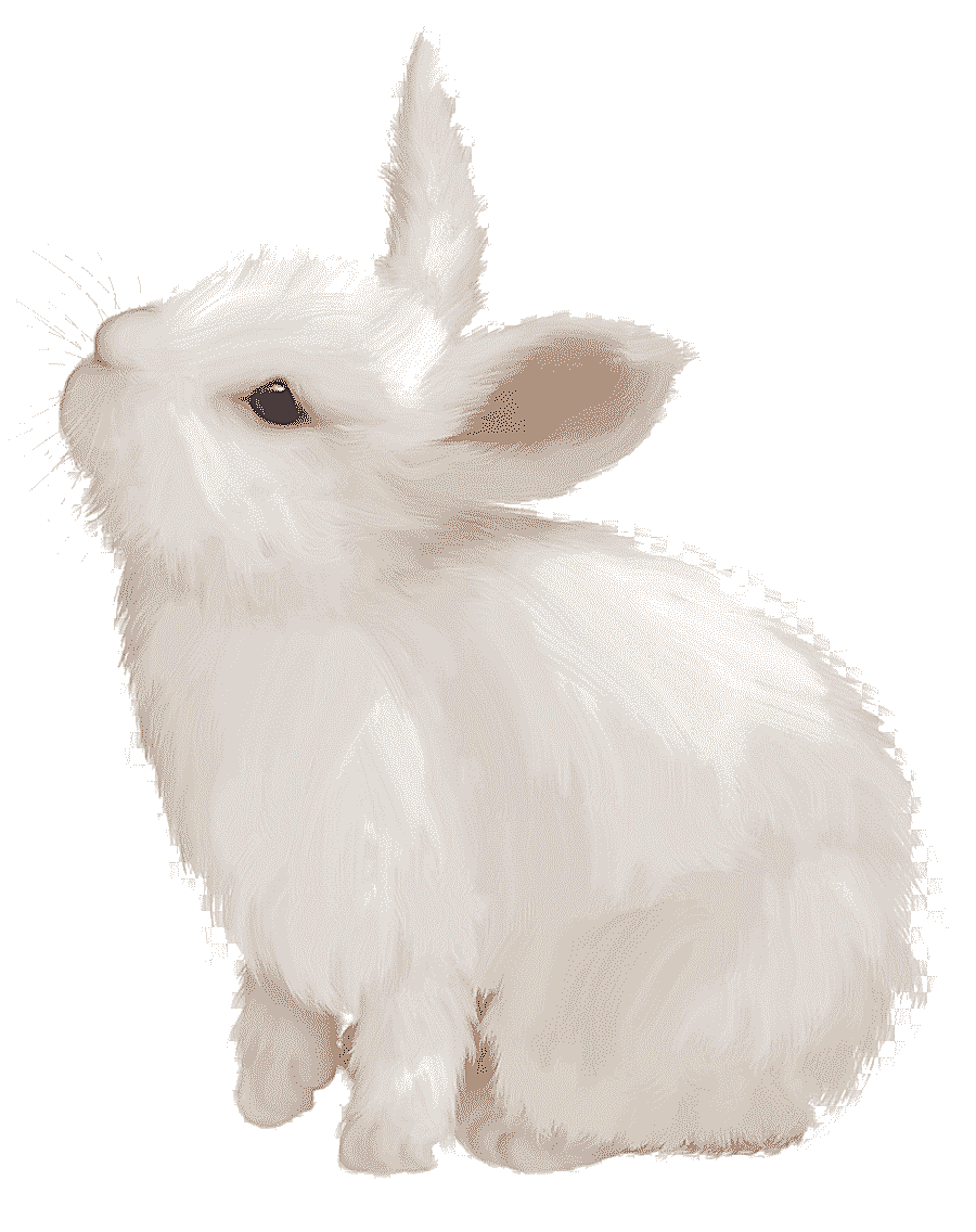 png clipart white rabbit illustration domestic rabbit white rabbit easter bunny european r
