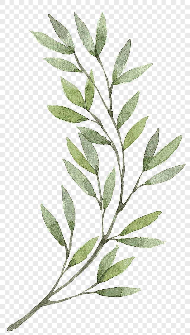 png clipart wreath watercolor painting flower hand painted plants green leaves painting pa