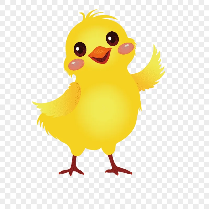 png clipart yellow chick illustration yellow hair chicken little yellow chicken cute littl