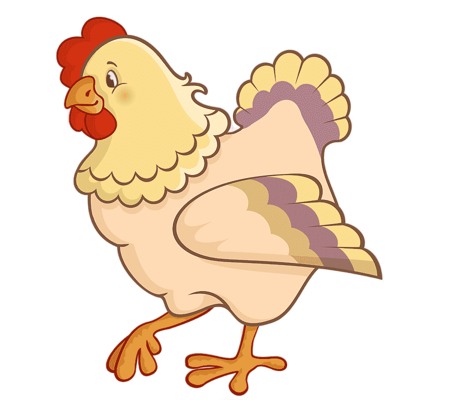 png clipart yellow feathered chicken illustration chicken cartoon cartoon hen cartoon char