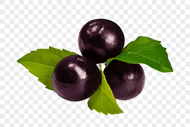 png clipart acai na tigela juice acai palm berry fruit juice natural foods food