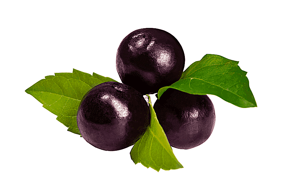 png clipart acai na tigela juice acai palm berry fruit juice natural foods food