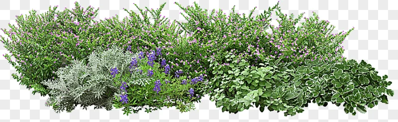 png clipart angels garden tree grass flowers green plants leaf plant stem