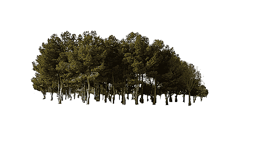 png clipart animated green trees pine tree forest jungle tree woods forest leaf text