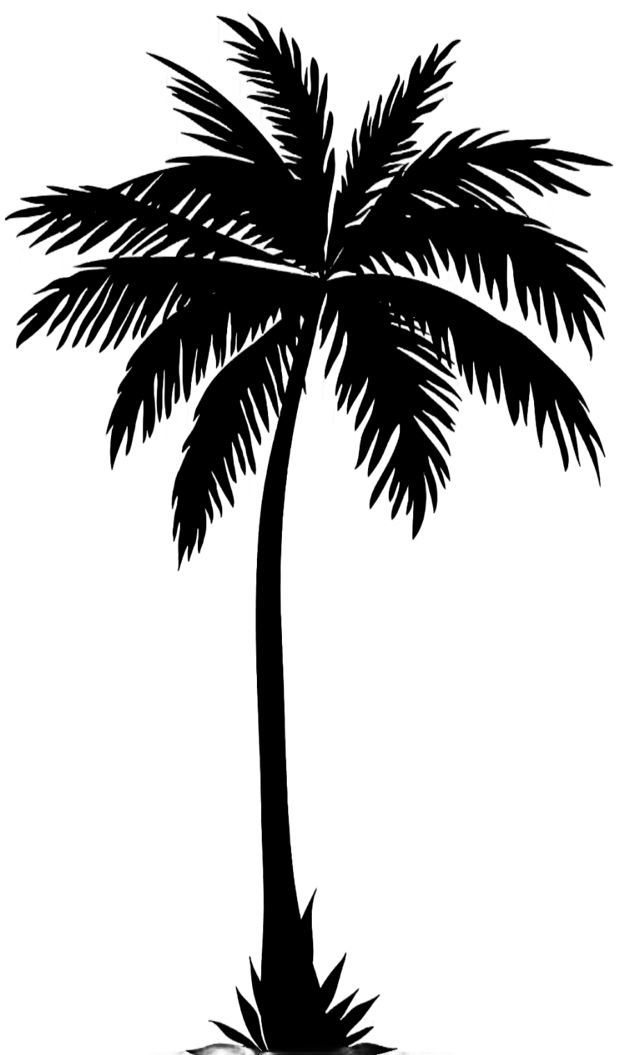 png clipart arecaceae silhouette palm tree silhouette leaf photography