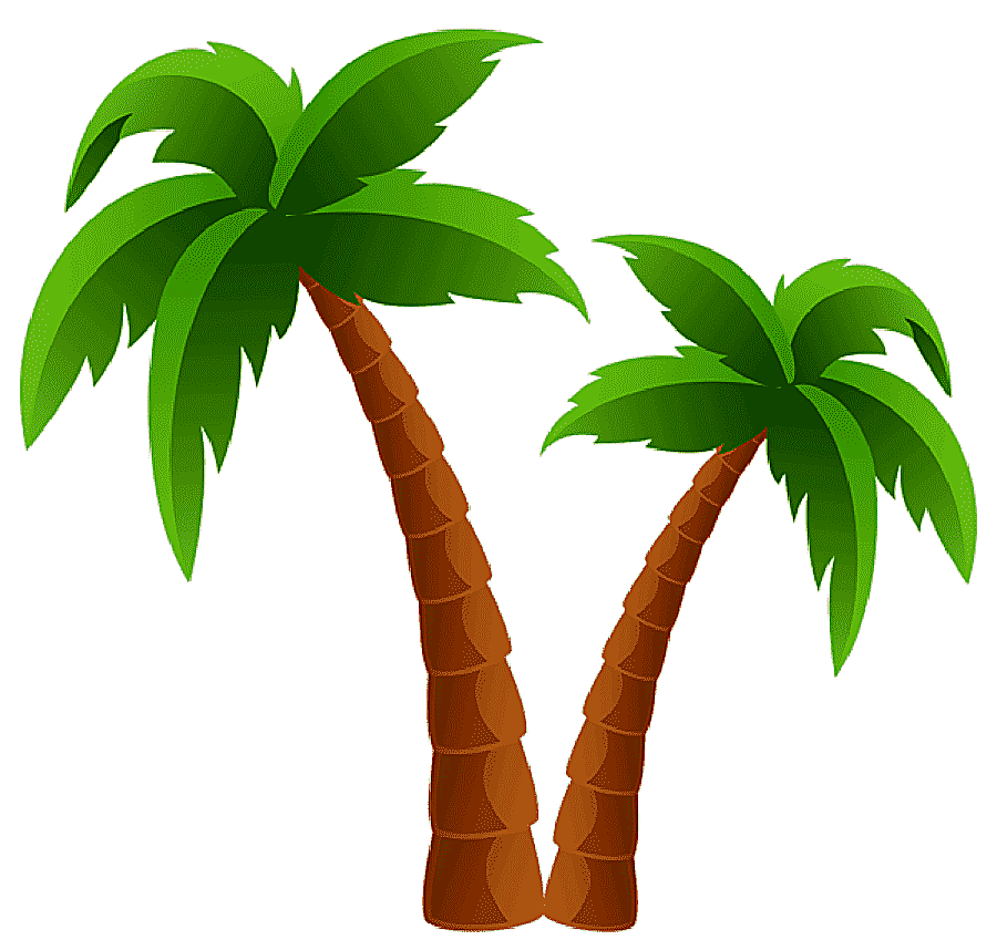 png clipart arecaceae tree palm tree plant stem palm tree