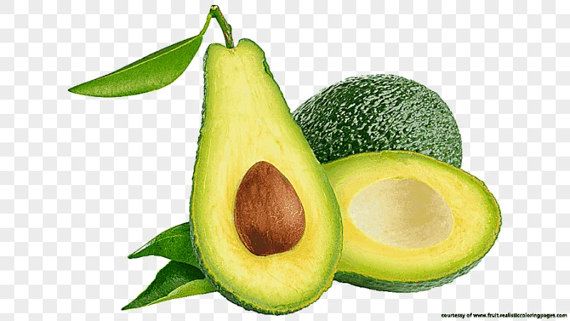 png clipart avocado fruit vegetable juice guacamole avocado natural foods food
