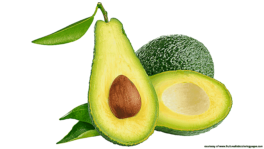 png clipart avocado fruit vegetable juice guacamole avocado natural foods food
