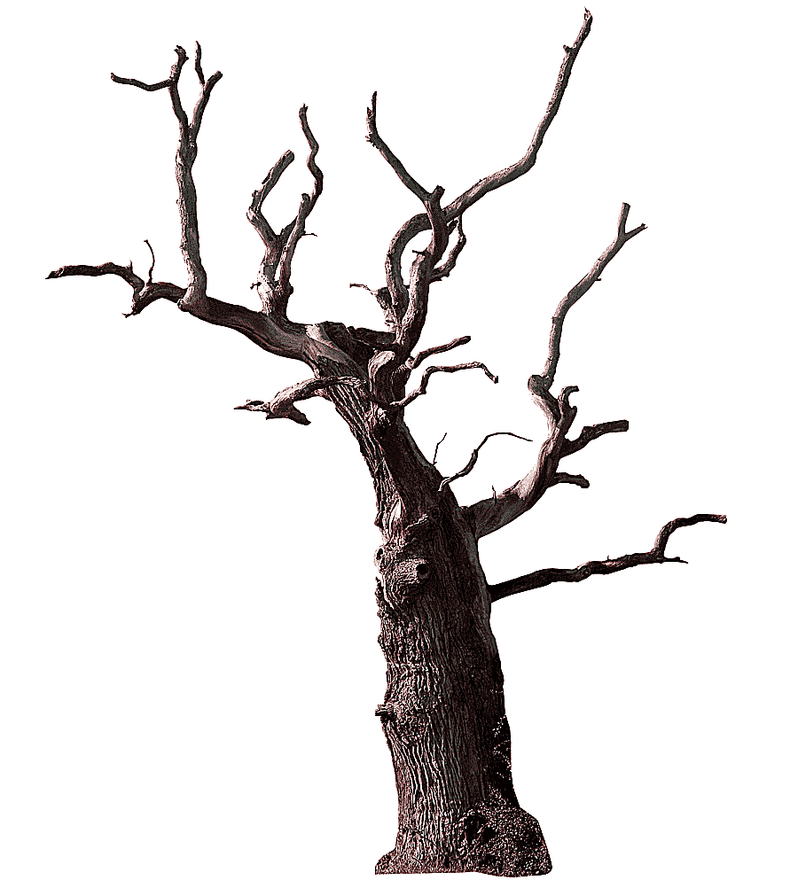 png clipart bare tree illustration tree branch snag old tree tree tree decoration pattern
