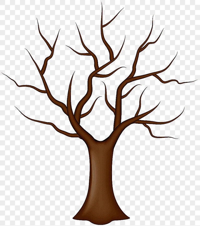 png clipart bare tree tree leaf tree without leaves antler leaf