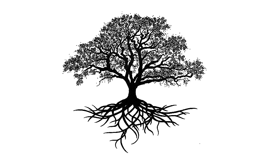 png clipart black and white tree illustration tree oak drawing silhouette trees silhouette