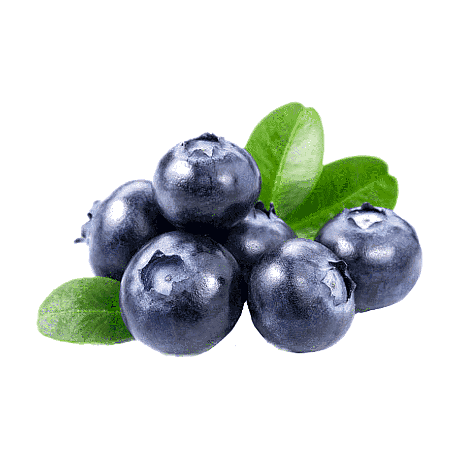 png clipart blueberry tea juice smoothie berries juice natural foods dried fruit