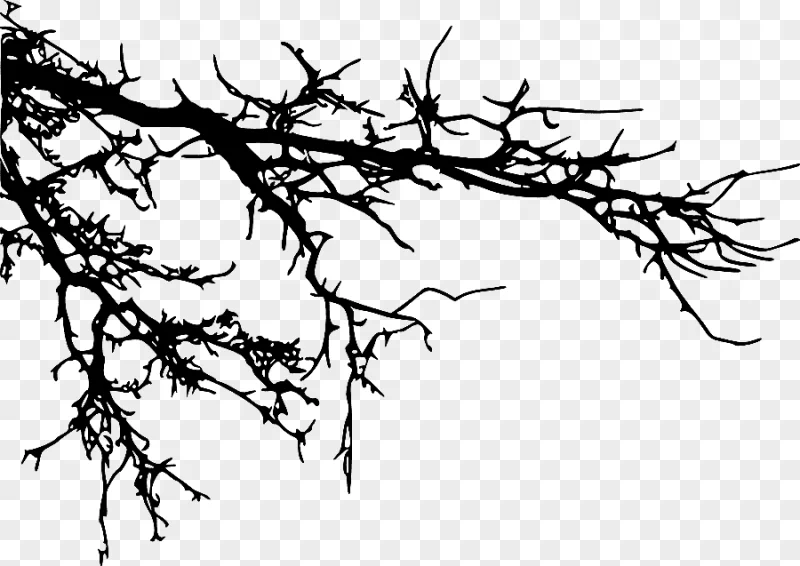 png clipart branch tree silhouette tree branch leaf photography
