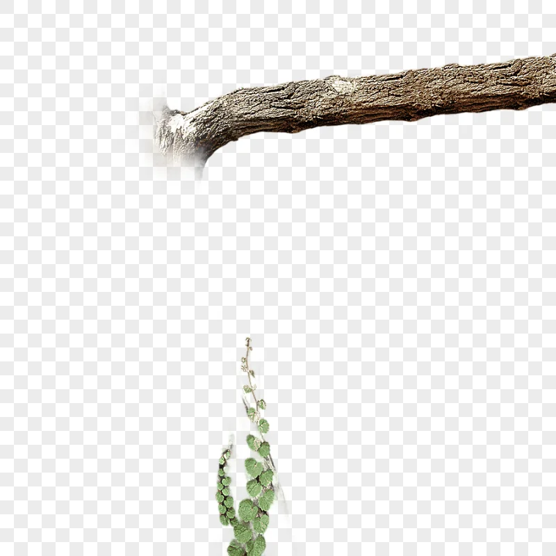 png clipart brown tree branch tree branch twig trees branch grass