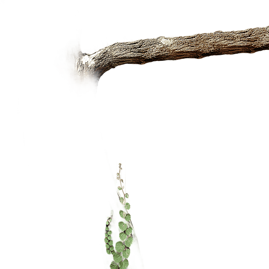 png clipart brown tree branch tree branch twig trees branch grass