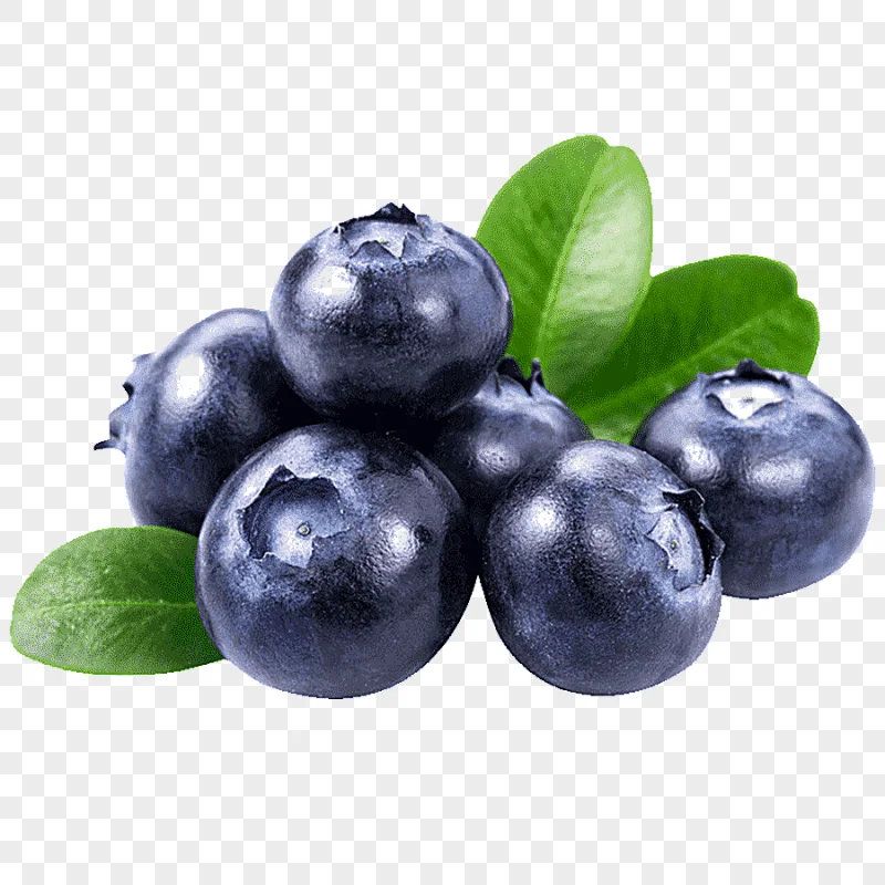 png clipart bunch of blueberries juice blueberry dried fruit blueberry purple purple natur