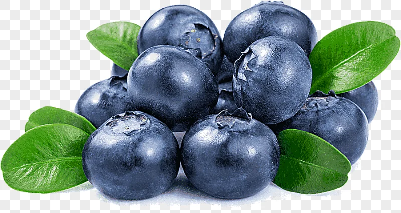 png clipart bunch of blueberry juice dietary supplement blueberry flavor eating blueberrie