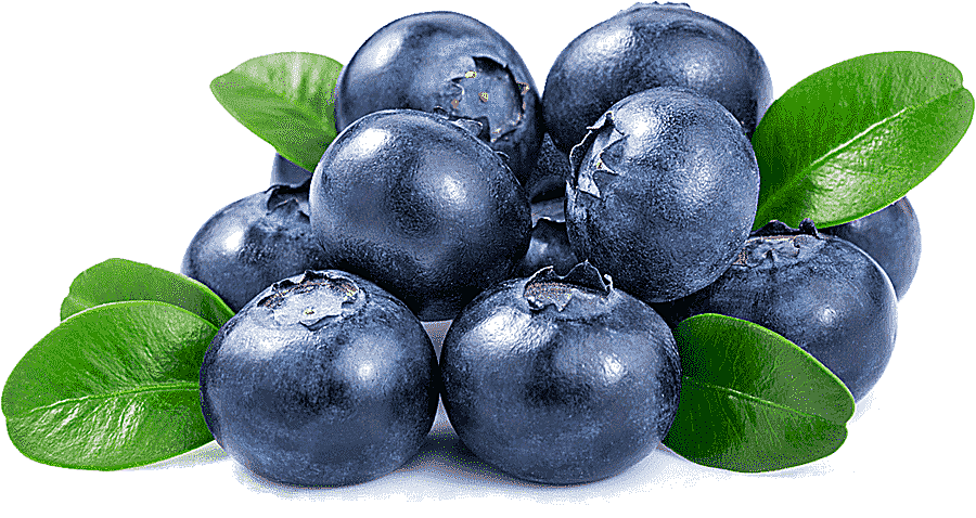 png clipart bunch of blueberry juice dietary supplement blueberry flavor eating blueberrie