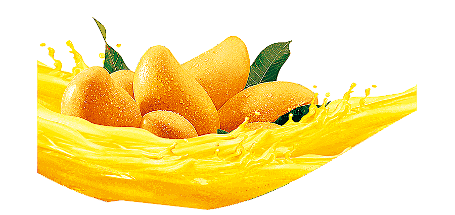 png clipart bunch of yellow mangoes illustration juice cocktail mango liqueur mango natura