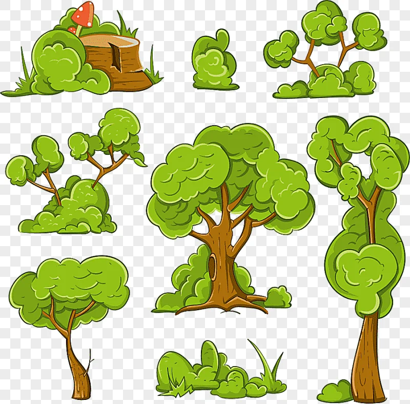 png clipart cartoon shrub tree illustration round green tree leaf photography