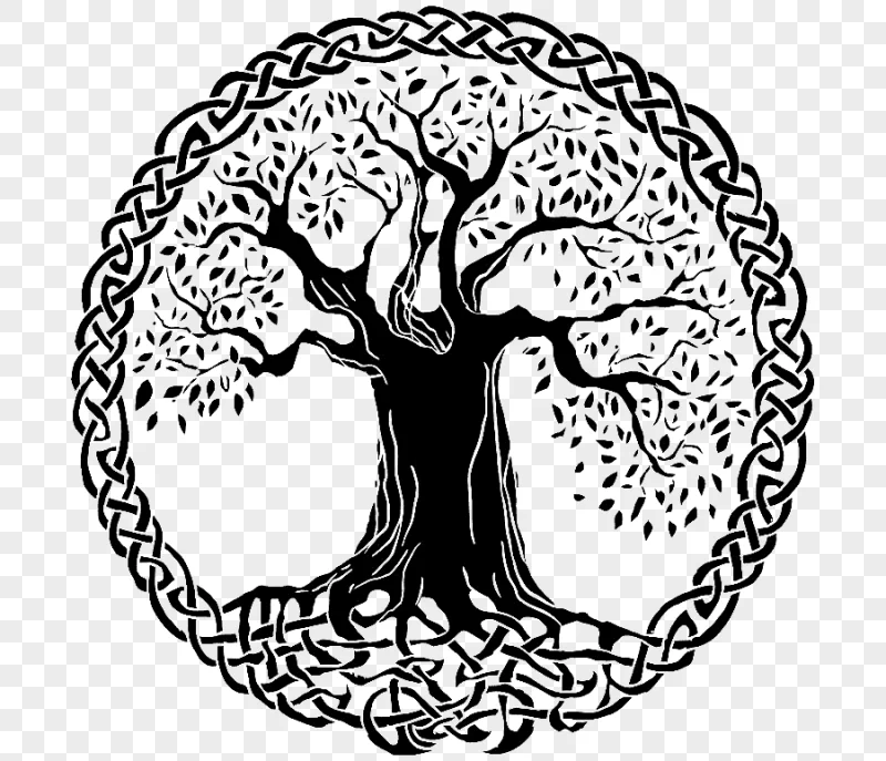 png clipart celtic sacred trees tree of life celtic art celts tree mammal cat like mammal