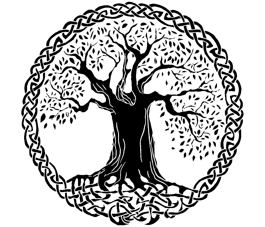 png clipart celtic sacred trees tree of life celtic art celts tree mammal cat like mammal
