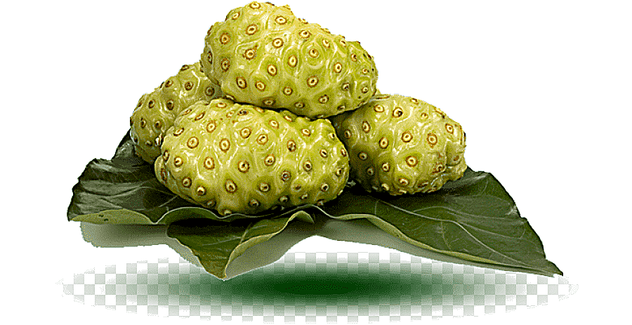 png clipart cheese fruit noni juice auglis health juice natural foods food