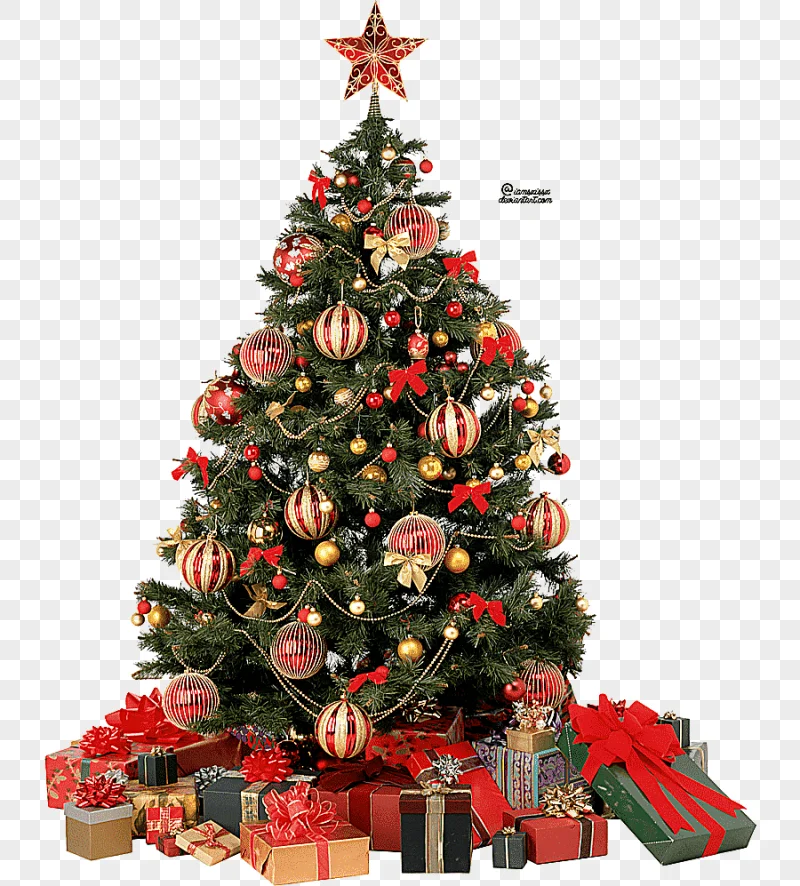 png clipart christmas tree christmas tree tree branch decor