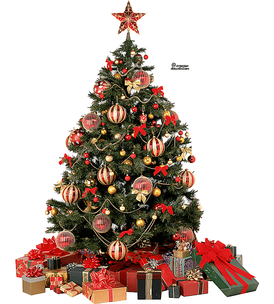 png clipart christmas tree christmas tree tree branch decor