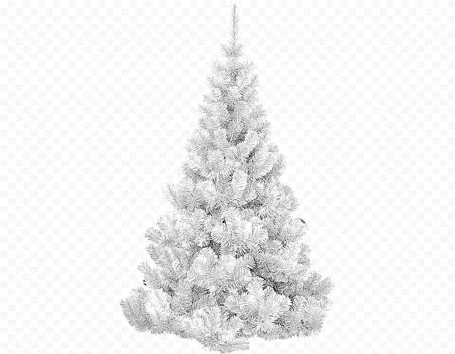 png clipart christmas tree spruce christmas tree white holidays