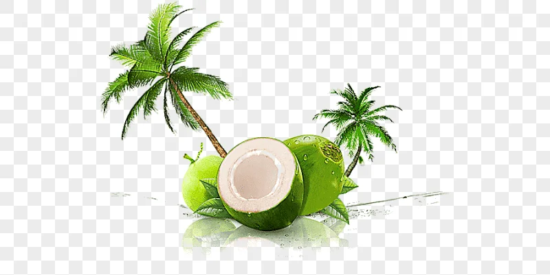 png clipart coconut coconut water coconut milk thai cuisine juice juice food juice