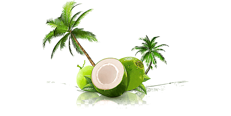 png clipart coconut coconut water coconut milk thai cuisine juice juice food juice