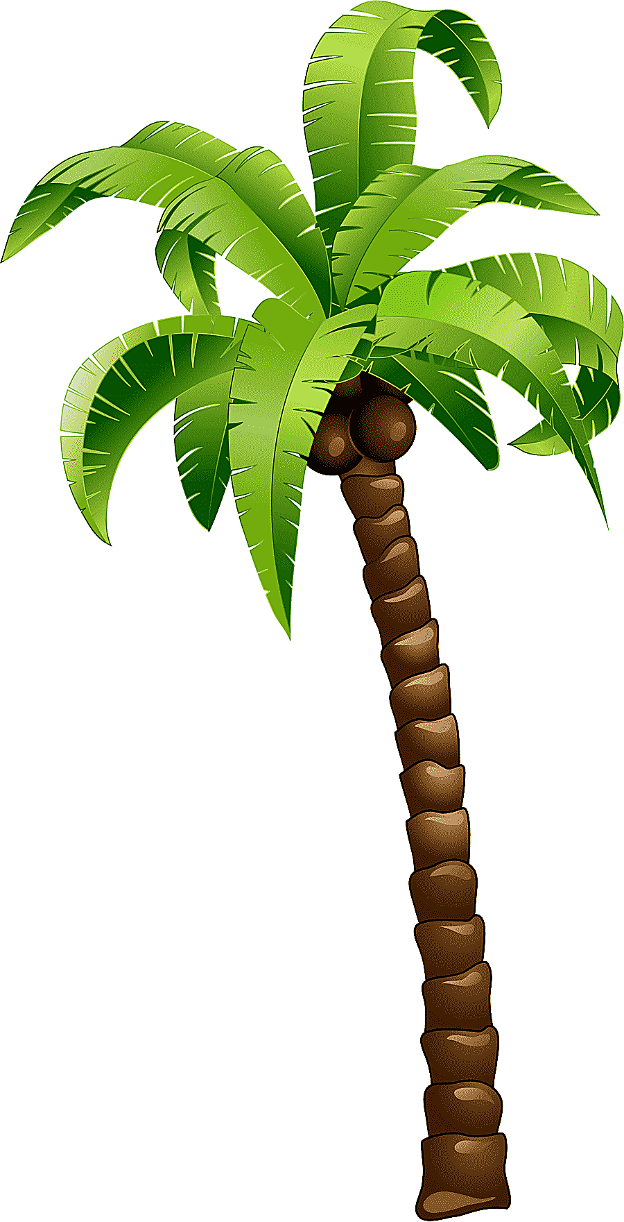 png clipart coconut tree coconut tree cartoon green coconut tree leaf simple