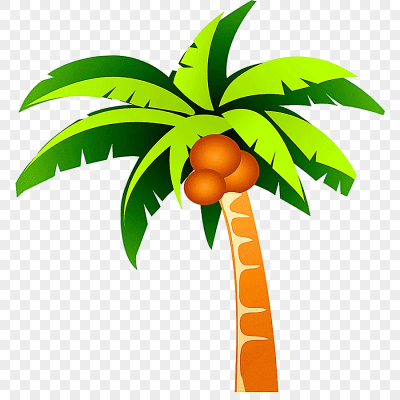 png clipart coconut tree coconut tree plant food tree branch