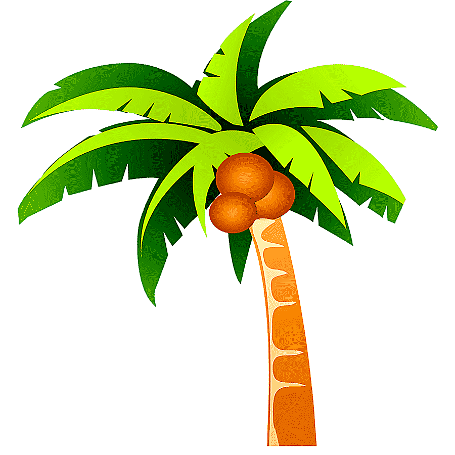 png clipart coconut tree coconut tree plant food tree branch