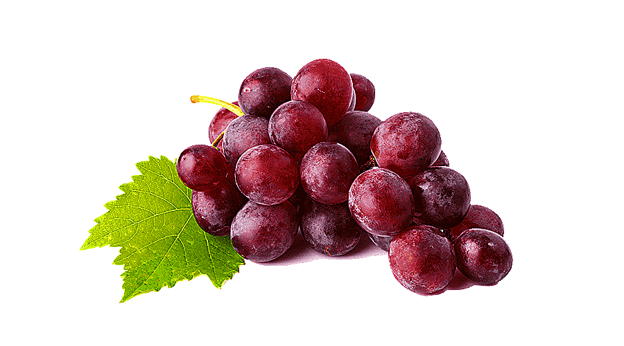 png clipart common grape vine juice wine juice natural foods frutti di bosco