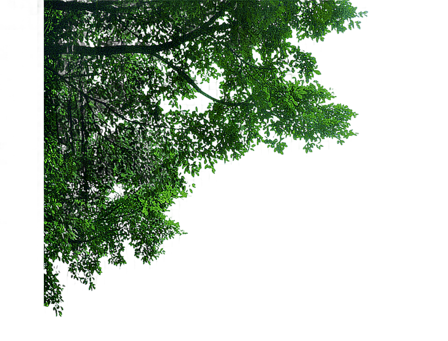 png clipart corner decorative trees trees lush tree