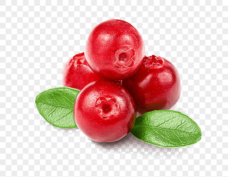 png clipart cranberry juice jam flavor juice natural foods frutti di bosco