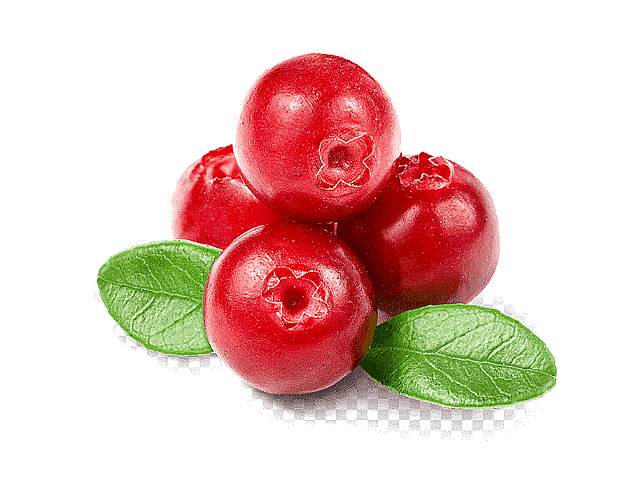 png clipart cranberry juice jam flavor juice natural foods frutti di bosco