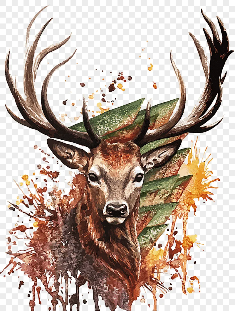 png clipart deer painting deer watercolor painting drawing watercolor deer antler watercol