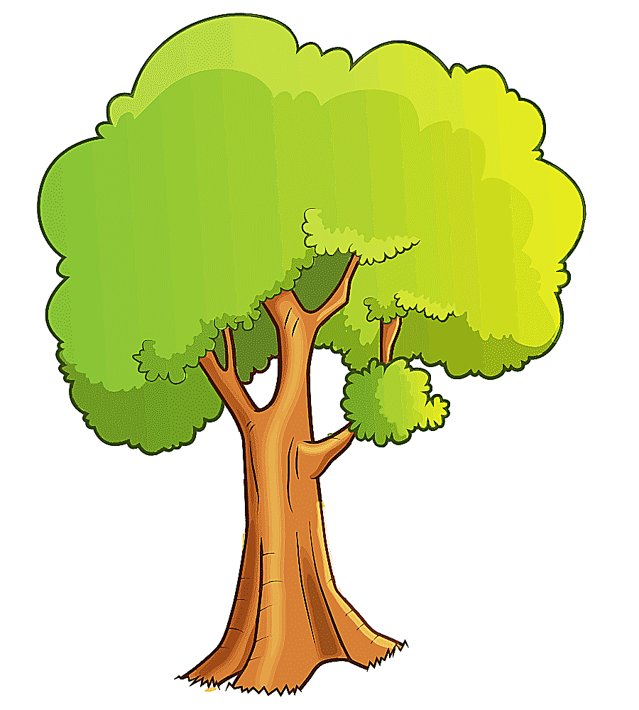 png clipart drawing cartoon tree tree drawing cartoon