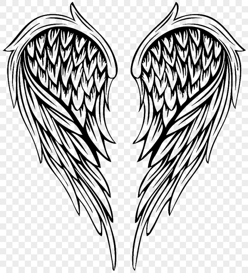 png clipart drawing illustration painted feather angel wings illustration of wings love wa