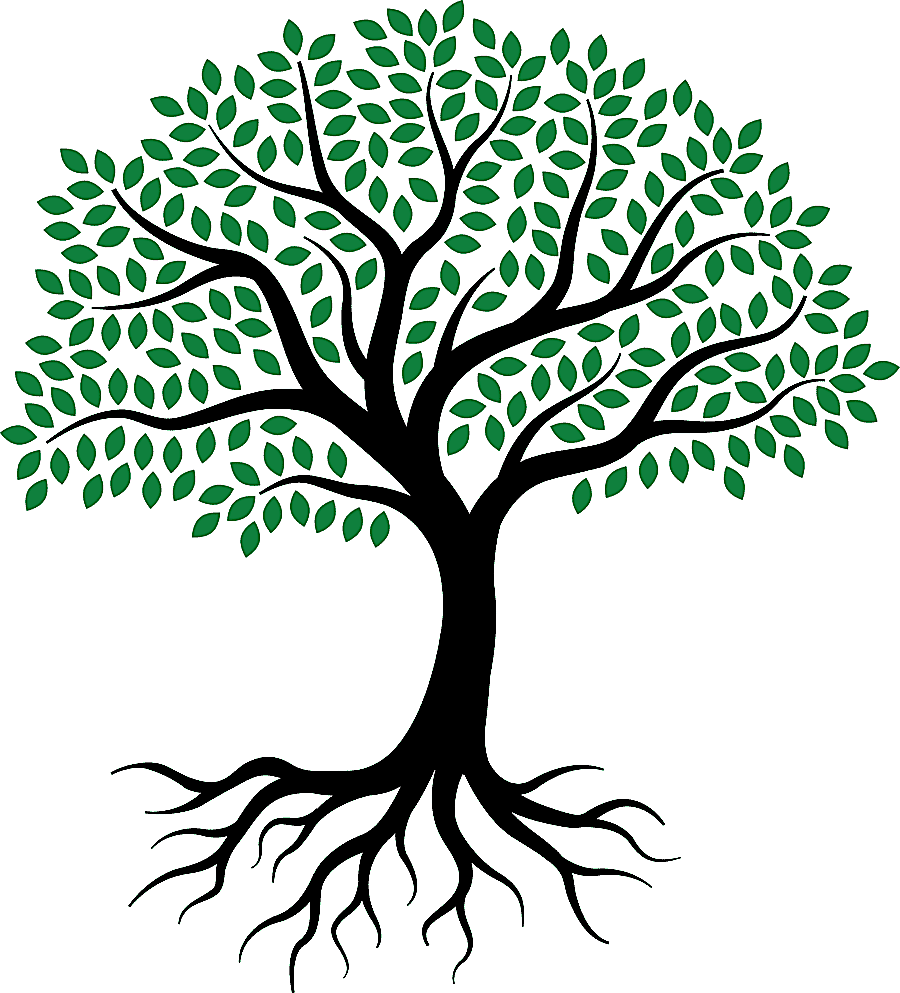 png clipart drawing root tree sketch tree of life leaf branch