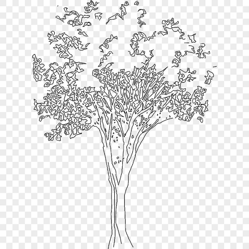 png clipart dwg autocad tree architecture drawing tree leaf landscape