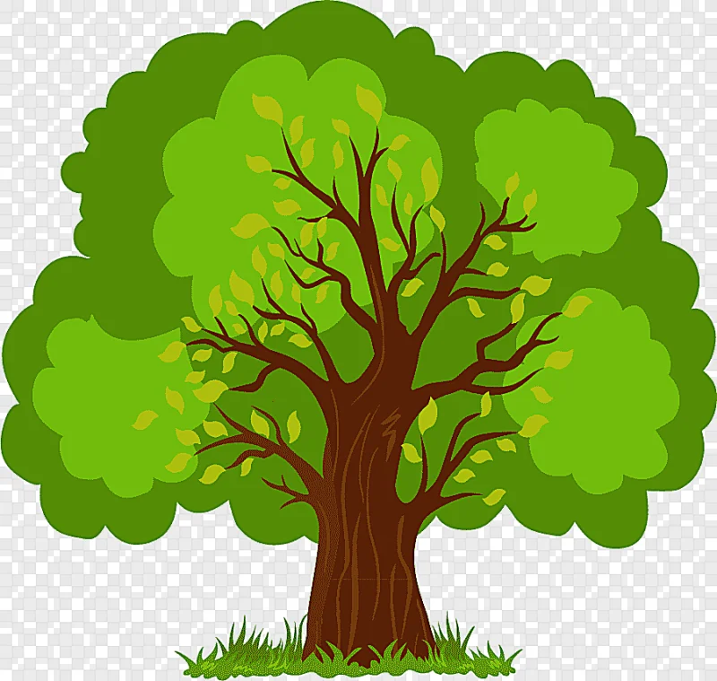 png clipart euclidean tree hand painted lush tree tree with green leaves artwork watercolo