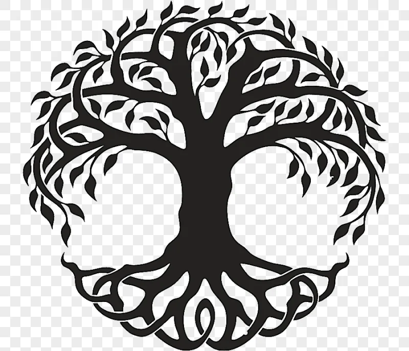 png clipart figure drawing tree of life celtic tree of life leaf monochrome