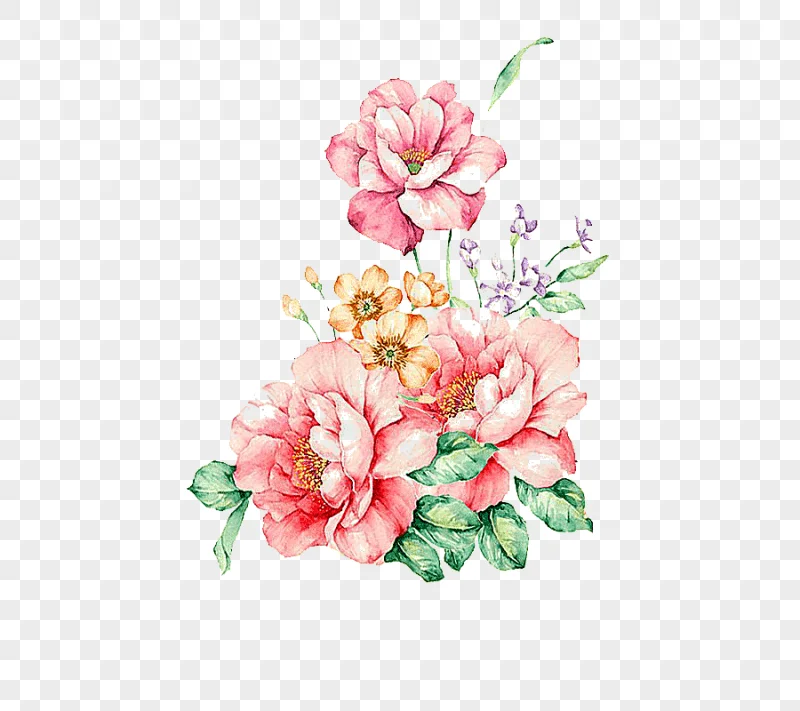 png clipart flower watercolor painting floral watercolor pink rose flowers painting waterc