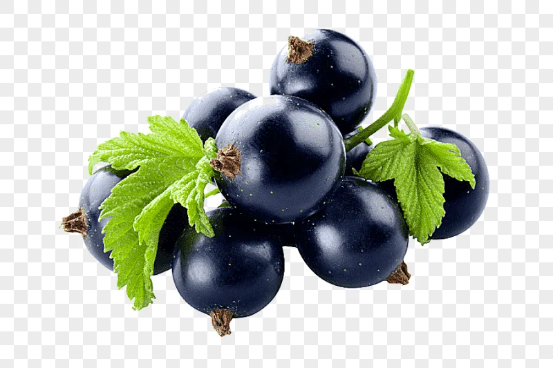png clipart gooseberry zante currant milkshake blackcurrant juice juice natural foods food