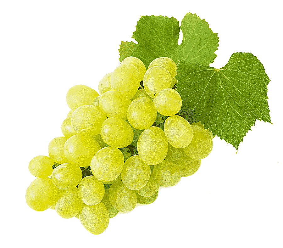 png clipart grape juice common grape vine flavor juice natural foods food