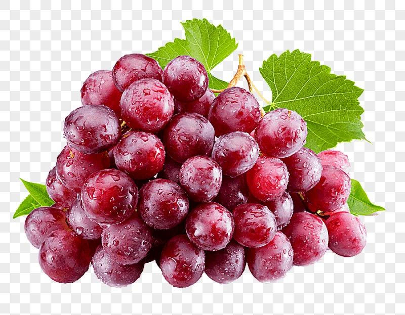 png clipart grapes juice isabella common grape vine table grape grape pattern natural food
